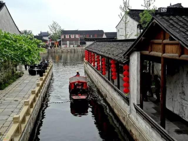 救援小袋熊