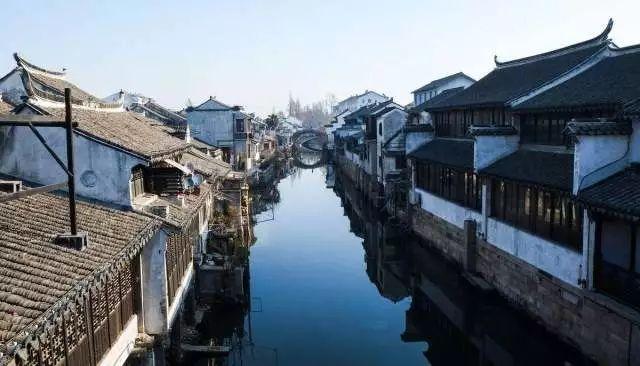 这么多年吃的都是冰冻带鱼，为何买不到活的？渔民：活的你吃不起游戏画面