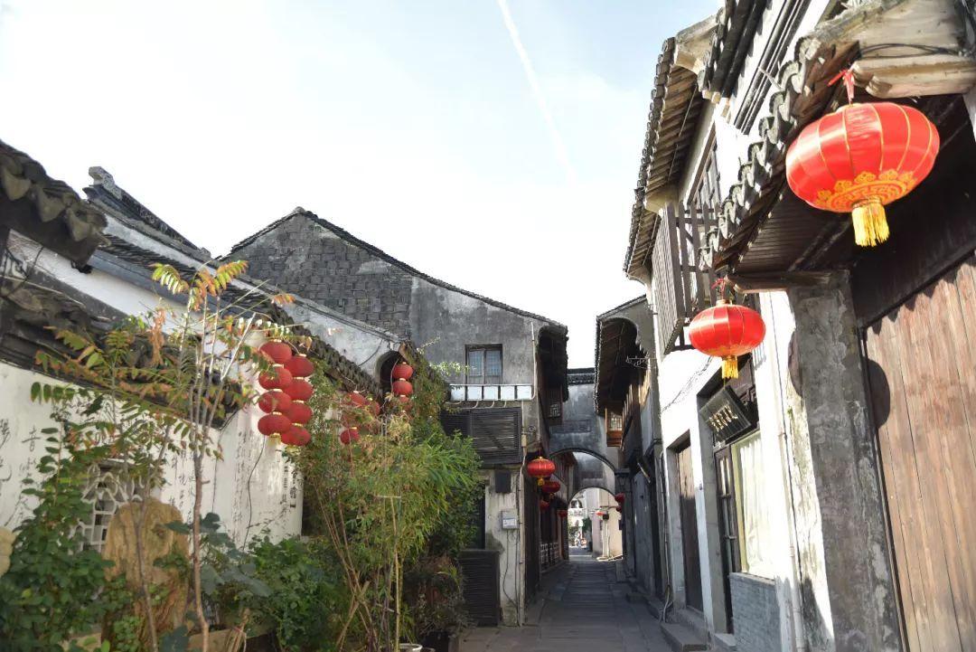 寻找火鸡