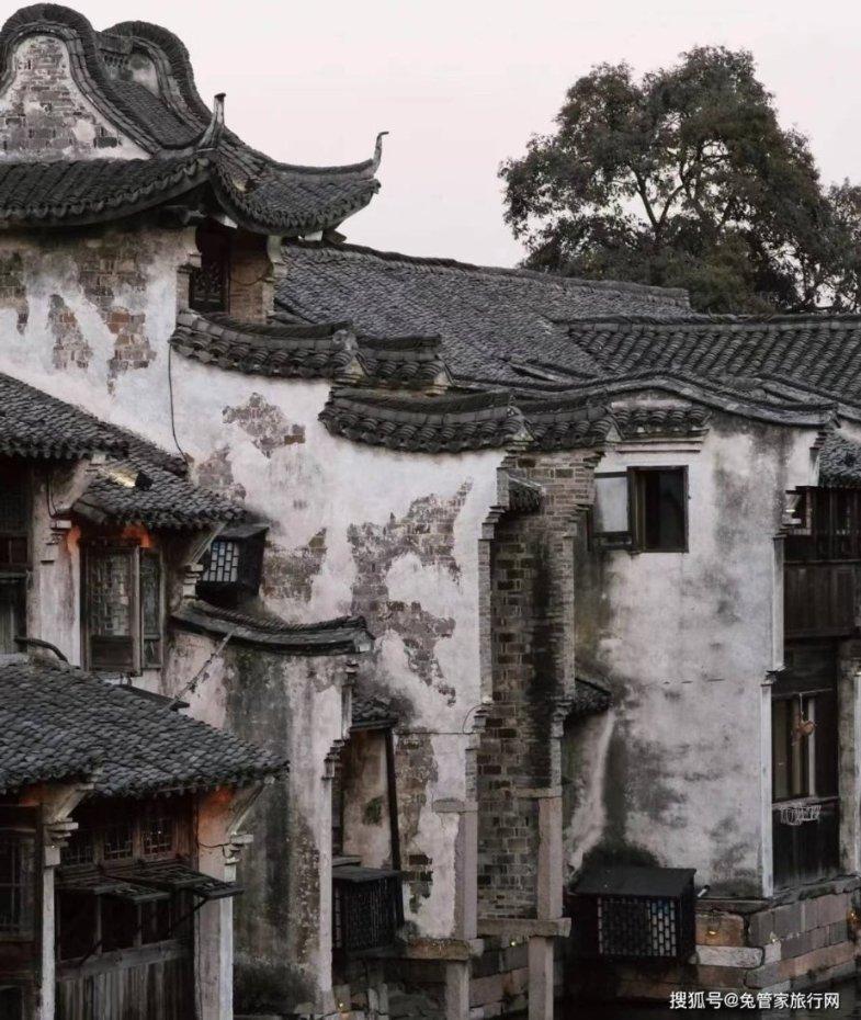 虫虫助手下载