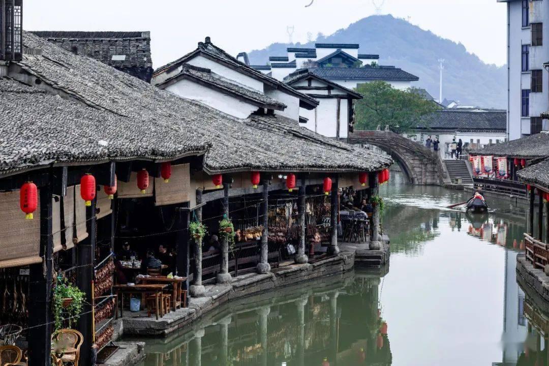 春雨直播app