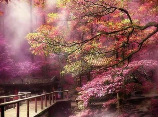 虫虫助手下载