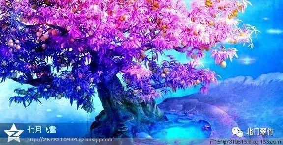 南麟电子终止北交所IPO 原拟募资6.2亿元