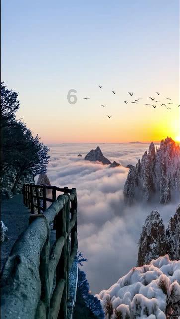 虫虫助手下载