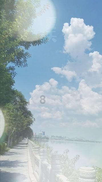 88影视